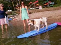 untitled.webp