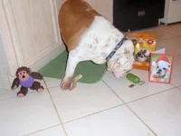 P1014360.webp