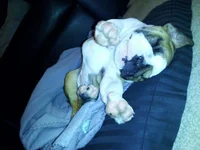 2012-01-30 22.16.33.webp