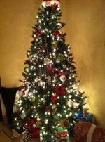 ImageUploadedByTapatalk1323747322.252468.webp
