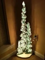 ImageUploadedByTapatalk1323747335.593595.webp