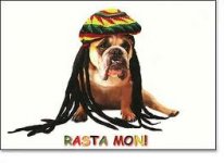 rasta.jpg