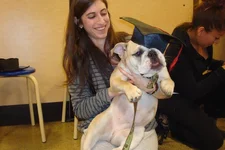 Sumo the Graduate.webp