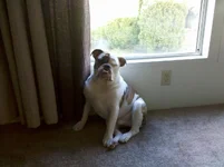 IMG_20110310_155200.webp