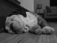 P2220011_2.webp