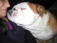 12-2010 003.webp
