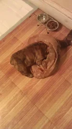 IMAG0306.webp