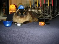 Sushi Happy Hannukah 2.webp