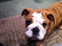 IMG_2340.jpg IMG_2340.jpg