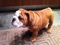 IMG_2337.jpg IMG_2337.jpg