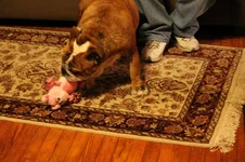 IMG_4085.webp