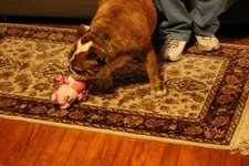 IMG_4086.webp