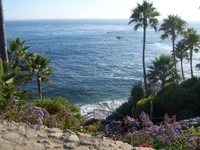 100_8533.webp