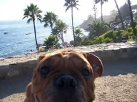 100_8534.webp