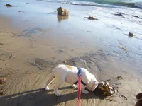 100_8539.webp