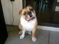 005.webp