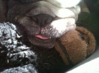 Seamy's Lip 2.jpg Seamy's Lip 2.jpg