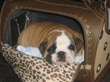 th_HugsandKisse4sshestheoneKelly005.jpg th_HugsandKisse4sshestheoneKelly005.jpg