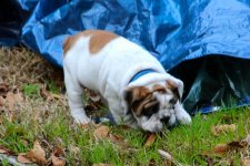 IMG_5018.jpg IMG_5018.jpg