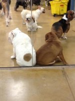 IMG_0923.jpg IMG_0923.jpg