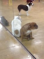 IMG_0924.jpg IMG_0924.jpg