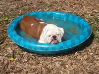 2012-04-07 15.11.15.webp