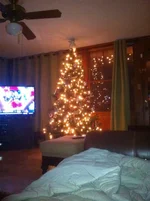 ImageUploadedByTapatalk1324262913.622983.webp
