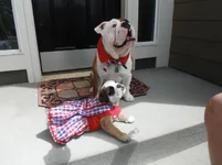 bertha and Arnold 4th of July.webp bertha and Arnold 4th of July.webp