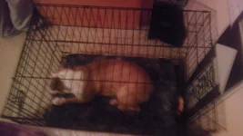 IMAG0722.webp
