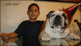 Bruno 2yrs.webp