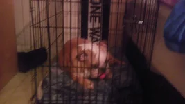 IMAG0721.webp