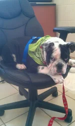 IMAG4788.webp