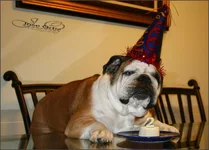 Bruno 2.webp