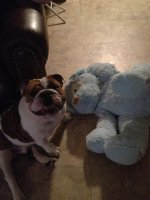 Nigel w bday gift 1.jpg