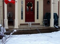 rosie first snow experience 015.jpg