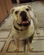 10982181_811492415587642_156326929674839229_n.jpg 10982181_811492415587642_156326929674839229_n.jpg