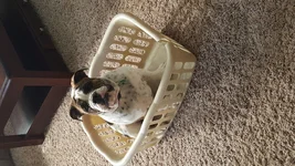 20150506_153212.webp