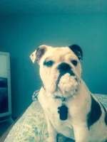 boss toy 1.webp