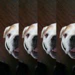 uploadfromtaptalk1439620602508.jpg