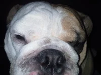 20150221_044242.webp