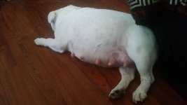 20150816_133256.jpg