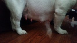 20150816_133600.jpg