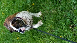 20150509_173406.webp