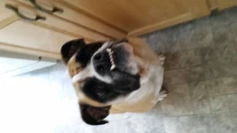 20150817_165852.webp