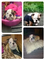 collage-1448617701382.webp collage-1448617701382.webp
