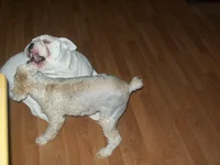 100_0771.webp