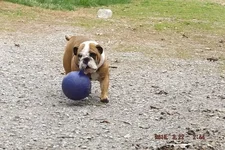 DSCF5393.webp