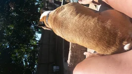 20140706_130649.webp