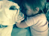 boss and josie nap.webp