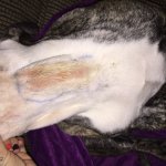 image.jpeg image.jpeg